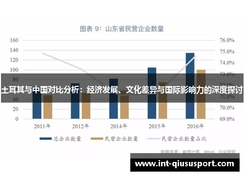 土耳其与中国对比分析：经济发展、文化差异与国际影响力的深度探讨