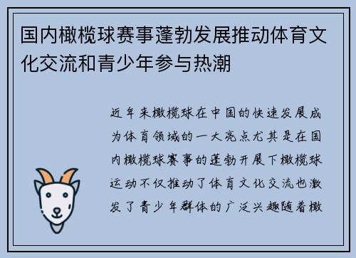 国内橄榄球赛事蓬勃发展推动体育文化交流和青少年参与热潮